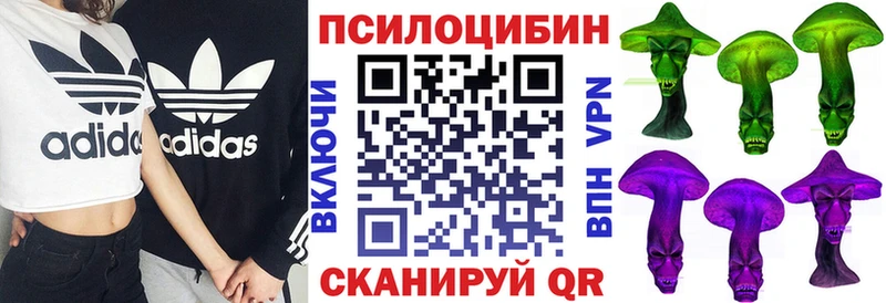 наркошоп  Гудермес  Псилоцибиновые грибы ЛСД 