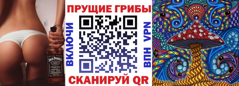 Галлюциногенные грибы Psilocybe Гудермес