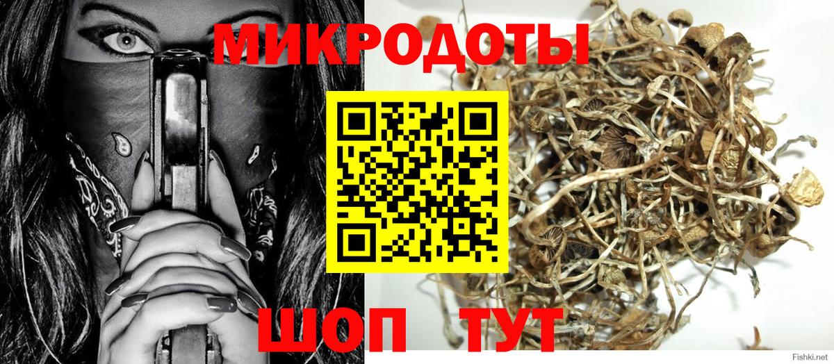даркнет сайт  Вход с VPN  Гудермес  Псилоцибиновые грибы GOLDEN TEACHER 