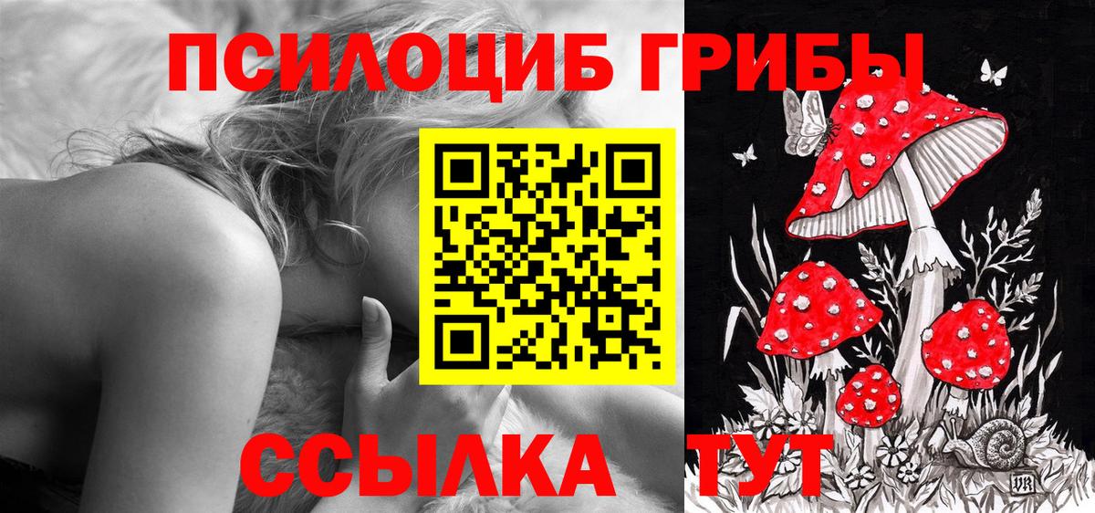 Псилоцибиновые грибы Psilocybe  хочу   Галлюциногенные грибы Psilocybine cubensis  Гудермес 