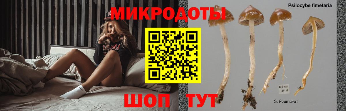 Псилоцибиновые грибы мицелий Гудермес